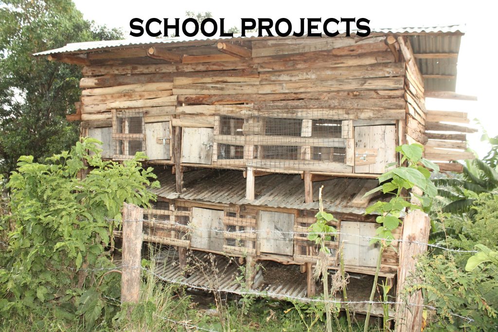 school project