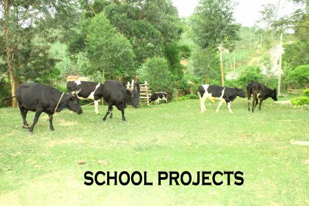 school project (2)