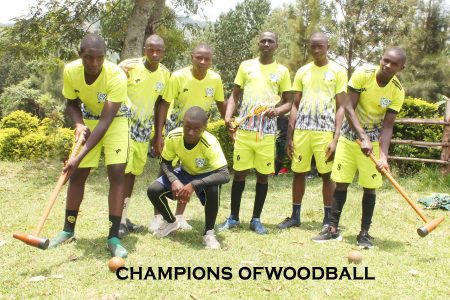 woodball team